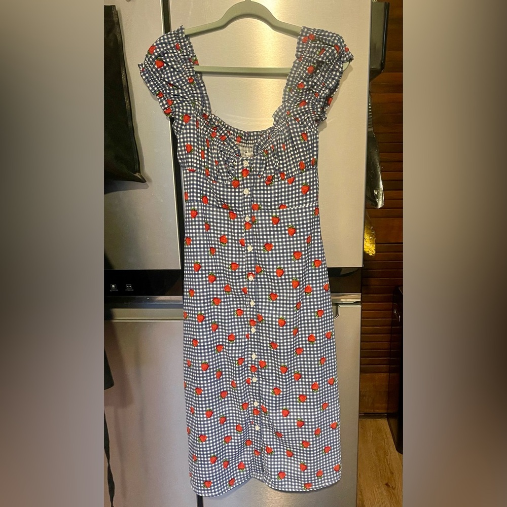 Urban Outfitters Blue Gingham Dress with Strawberry Print